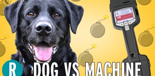 Dogs vs. Machines, Who’s the Better Bomb Detector?