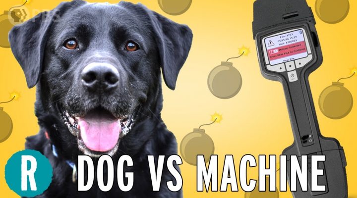 Dogs vs. Machines, Who’s the Better Bomb Detector?